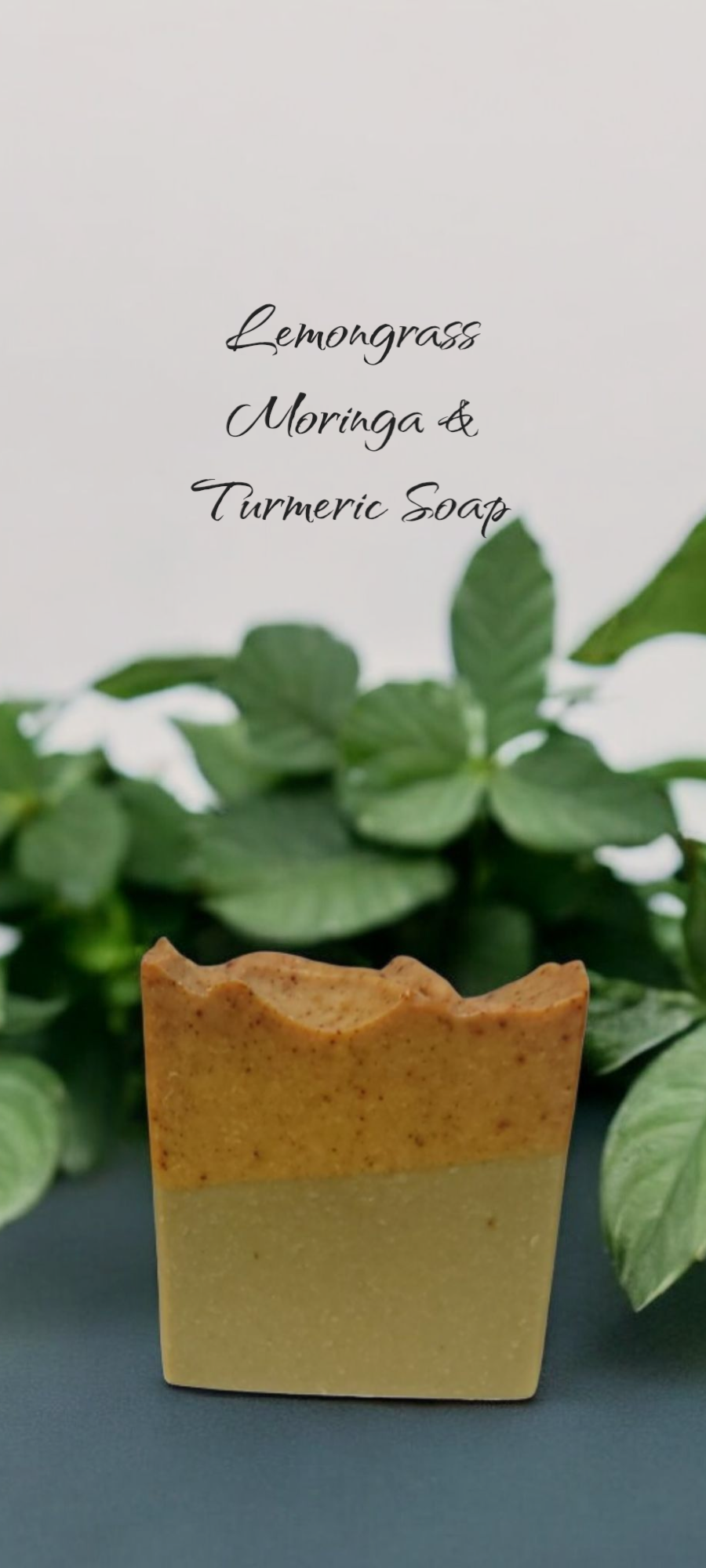 Turmeric & Moringa w/ Lemongrass Bar Soap