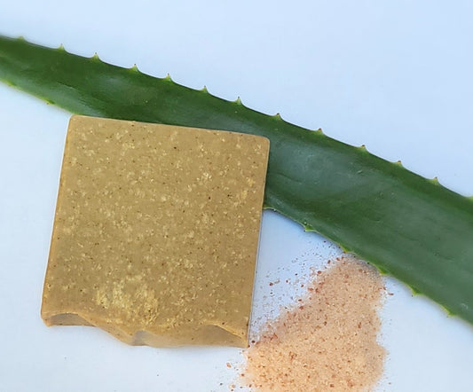 Aloe Vera & Sea Salt Bar Soap (Unscented)