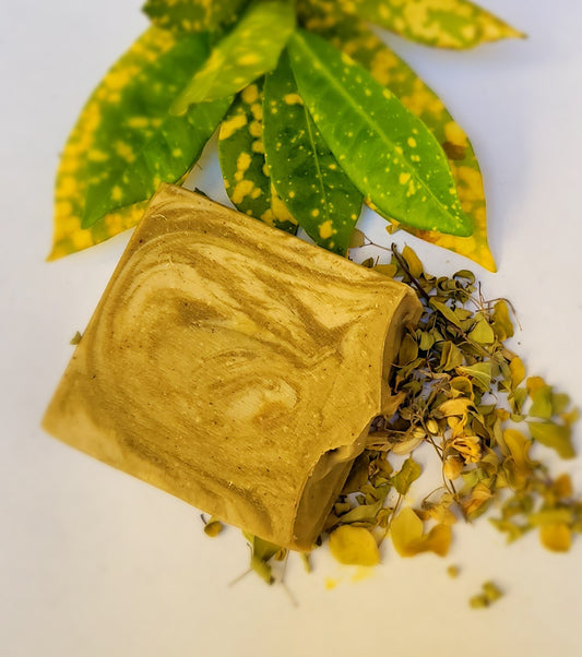 Tea Tree & Moringa Bar Soap