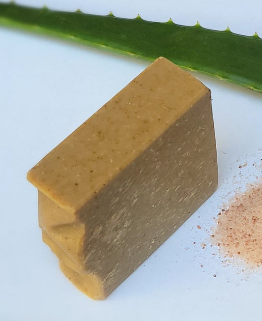 Aloe Vera & Sea Salt Bar Soap (Unscented)